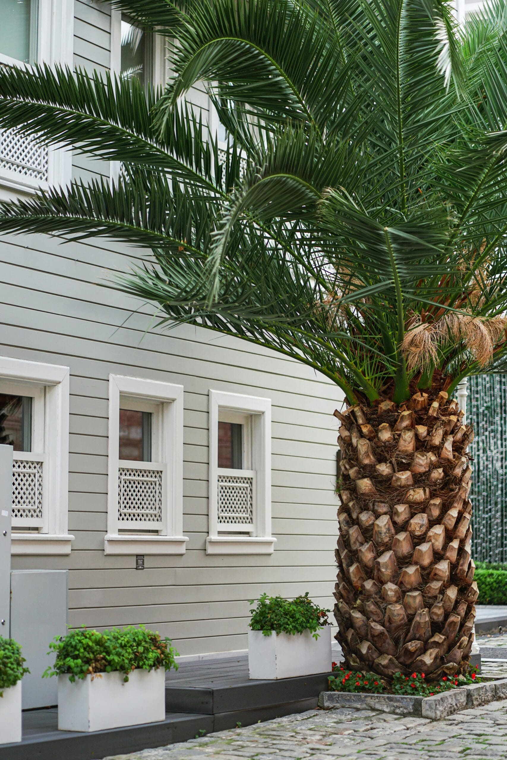 The exterior of a multi-family building.